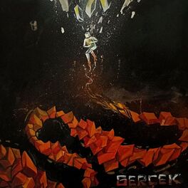 Album cover of Gerçek