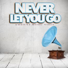 Album cover of Never Let You Go - Ambient Music Vibes