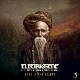 Album cover of Baba In The Desert