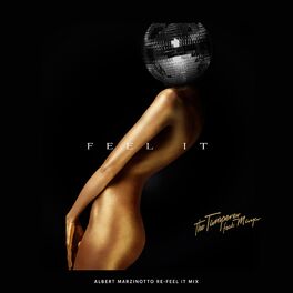 Album cover of Feel It (Albert Marzinotto Re-Feel It Mix)
