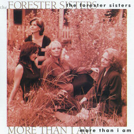 Album cover of More Than I Am