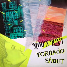 Album cover of Tornado Shout