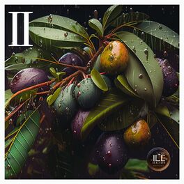 Album cover of ALL I GOT 2