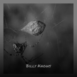 Album cover of Billy Knows