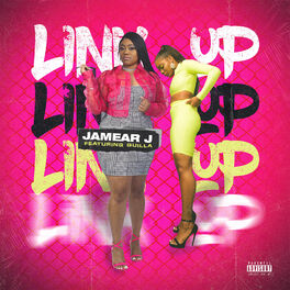 Album cover of Link Up (feat. Quilla)