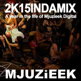 Album cover of 2K15INDAMIX
