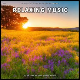 Album cover of ! ! ! ! Relaxing Music to Calm Down, for Sleep, Studying, the Soul