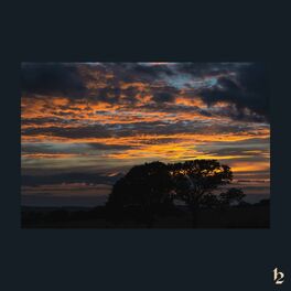 Album cover of Dreamer