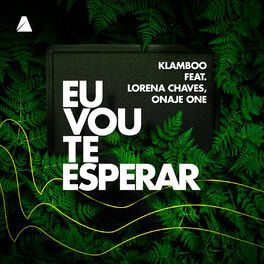 Album cover of Eu Vou Te Esperar