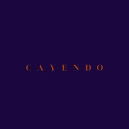 Album cover of Cayendo