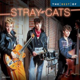 Album cover of Best Of The Stray Cats
