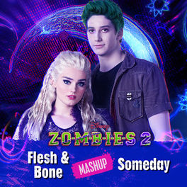 Album cover of Flesh & Bone/Someday Mashup