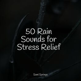 Album cover of 50 Rain Sounds for Stress Relief