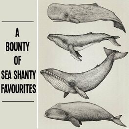 Album cover of A Bounty Of Sea Shanty Favourites