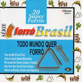 Album cover of Série Forró Brasil: 20 Super Forrós - Todo Mundo Quer Forró