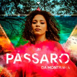 Album cover of Pássaro da Montanha