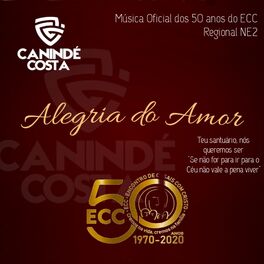 Album cover of Alegria do Amor