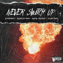 Album cover of Never Switch Up