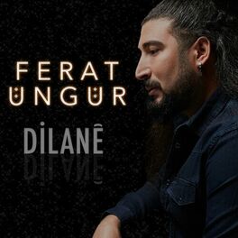 Album cover of Dilanê