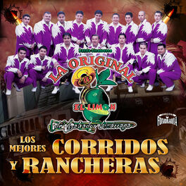 Album cover of Los Mejores Corridos y Rancheras