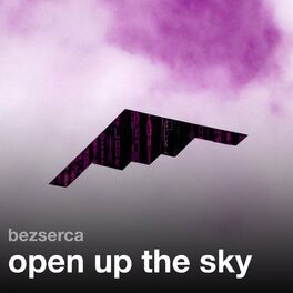 Album cover of open up the sky
