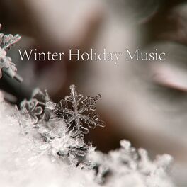Album cover of Winter Holiday Music: Ambient Soundscapes for Winter