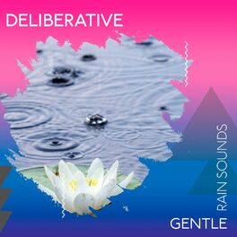 Album cover of zZz Deliberative Gentle Rain Sounds zZz