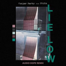 Album cover of Lie Low (feat. FOZSA) (Audio Dope Remix)