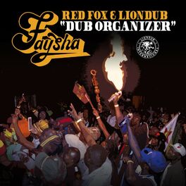 Album cover of Dub Organizer