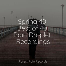 Album cover of Spring 40 Best of 40 Rain Droplet Recordings