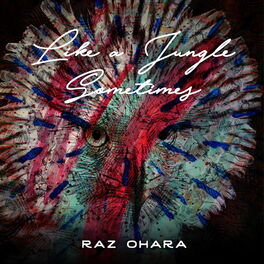 Album cover of Like A Jungle Sometimes