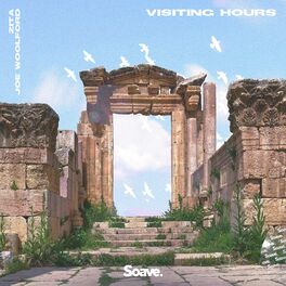Album cover of Visiting Hours