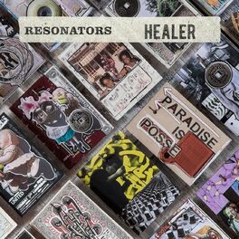 Album cover of Healer
