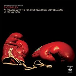 Album cover of Rolling with the Punches / Reflections