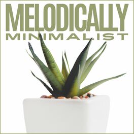 Album cover of Melodically Minimalist