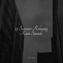 Album cover of 25 Summer Relaxing Rain Sounds