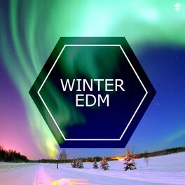 Album cover of Winter EDM