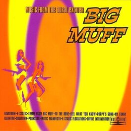 Album cover of Music From The Aural Exciter