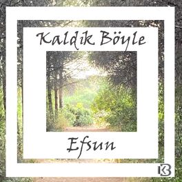 Album cover of Efsun