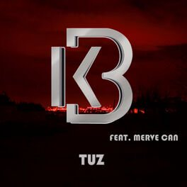 Album cover of Tuz