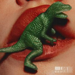 Album cover of ROUGH N' GENTLE