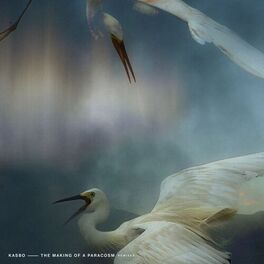 Album cover of The Making of a Paracosm (Remixes Vol. 1)