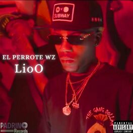 Album cover of LioO