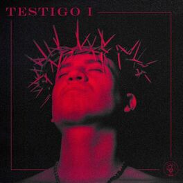Album cover of Testigo I