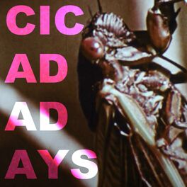 Album cover of Cicada Days
