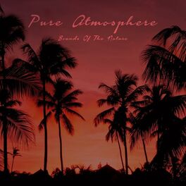 Album cover of Pure Atmosphere - Sounds of the Nature