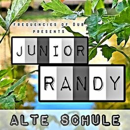 Album cover of Alte Schule