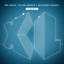 Album cover of XL (Remixes)