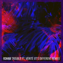 Album cover of Trouble (It's Different Remix)