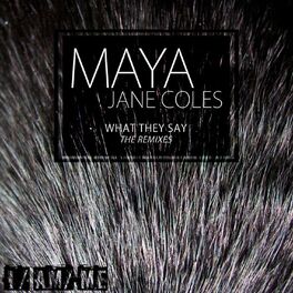 Album cover of What They Say (The Remixes)